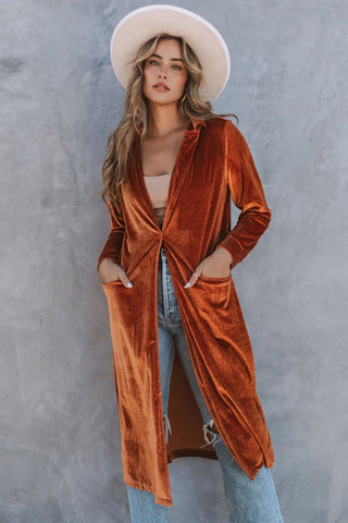 Brown Velvet Coat