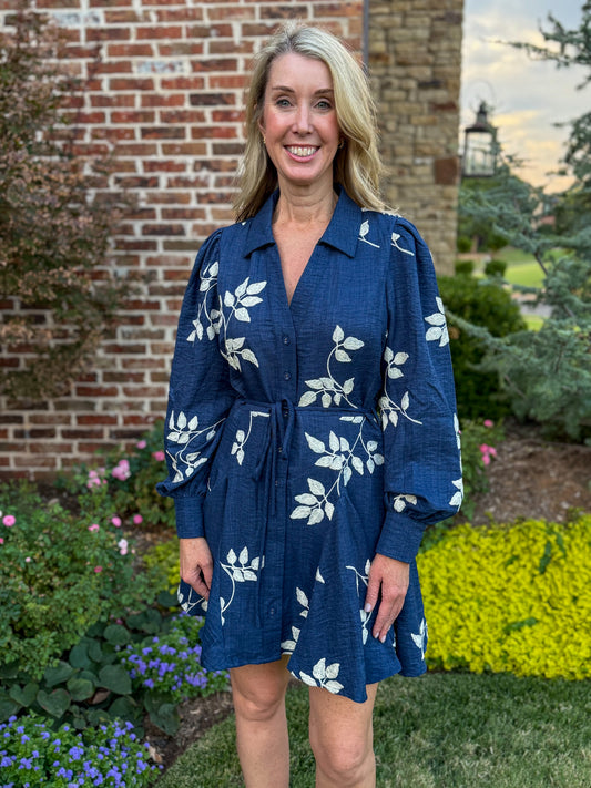 Winterberry Stroll Dress